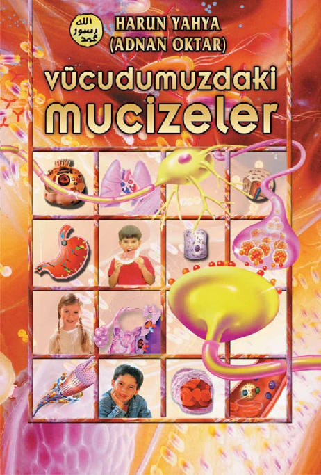 Vücudumuzdaki Mucizeler